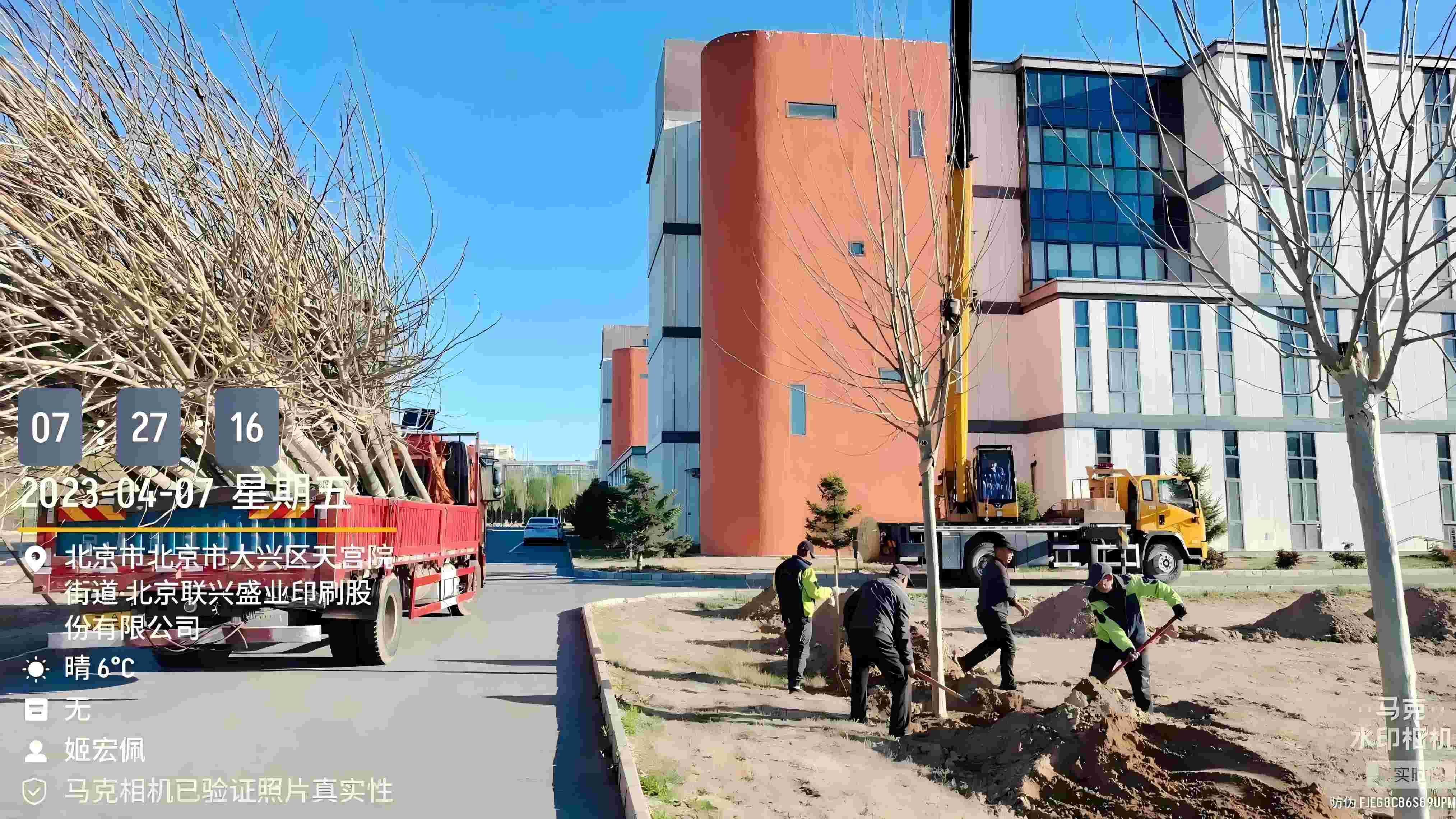 北京春季植樹最好的時間是什么時候？